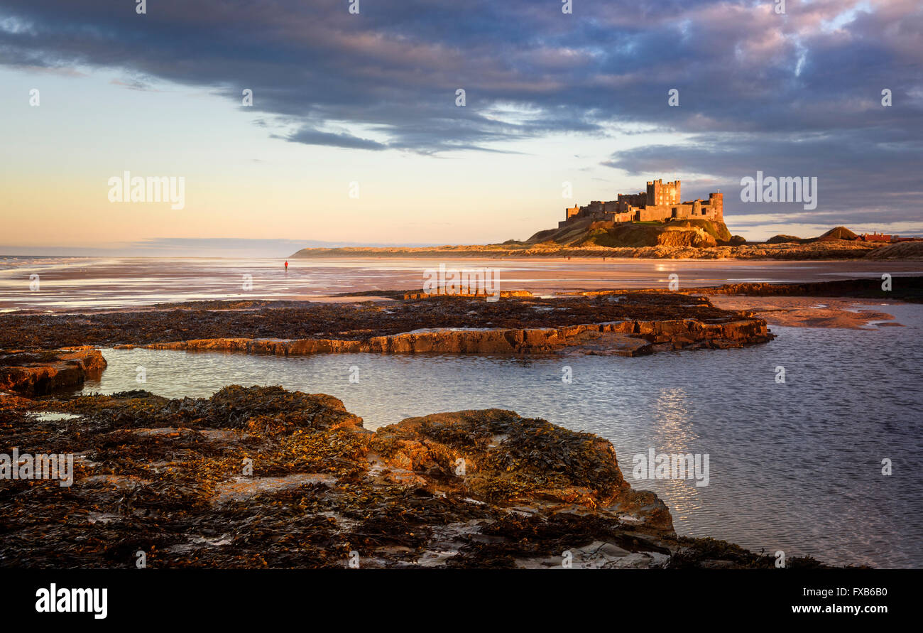Bamburgh Castle in der Abend-Sonne Stockfoto