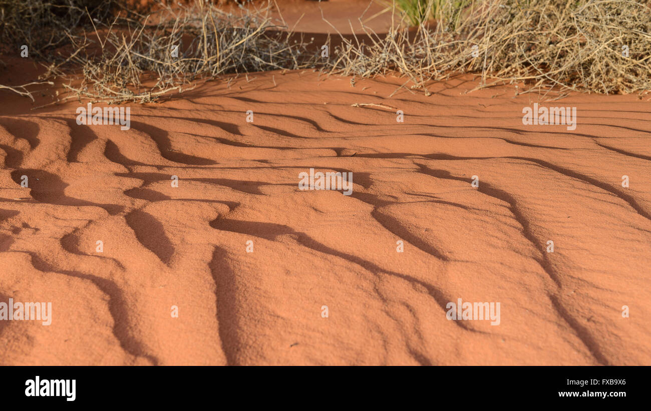 Welle der Wüstensand nach der Erosion durch Wind, Wüste von Arizona, Monument Valley Stockfoto