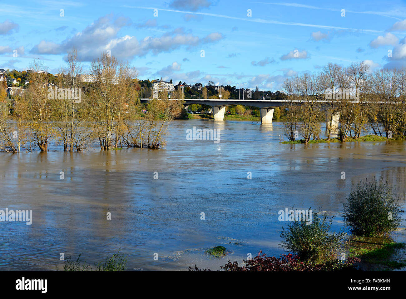 Fluss Loire, Bäume und Brücke bei Tours, Stadt in Zentralfrankreich, die Hauptstadt des Département Indre-et-Loire, Region Centre. Stockfoto