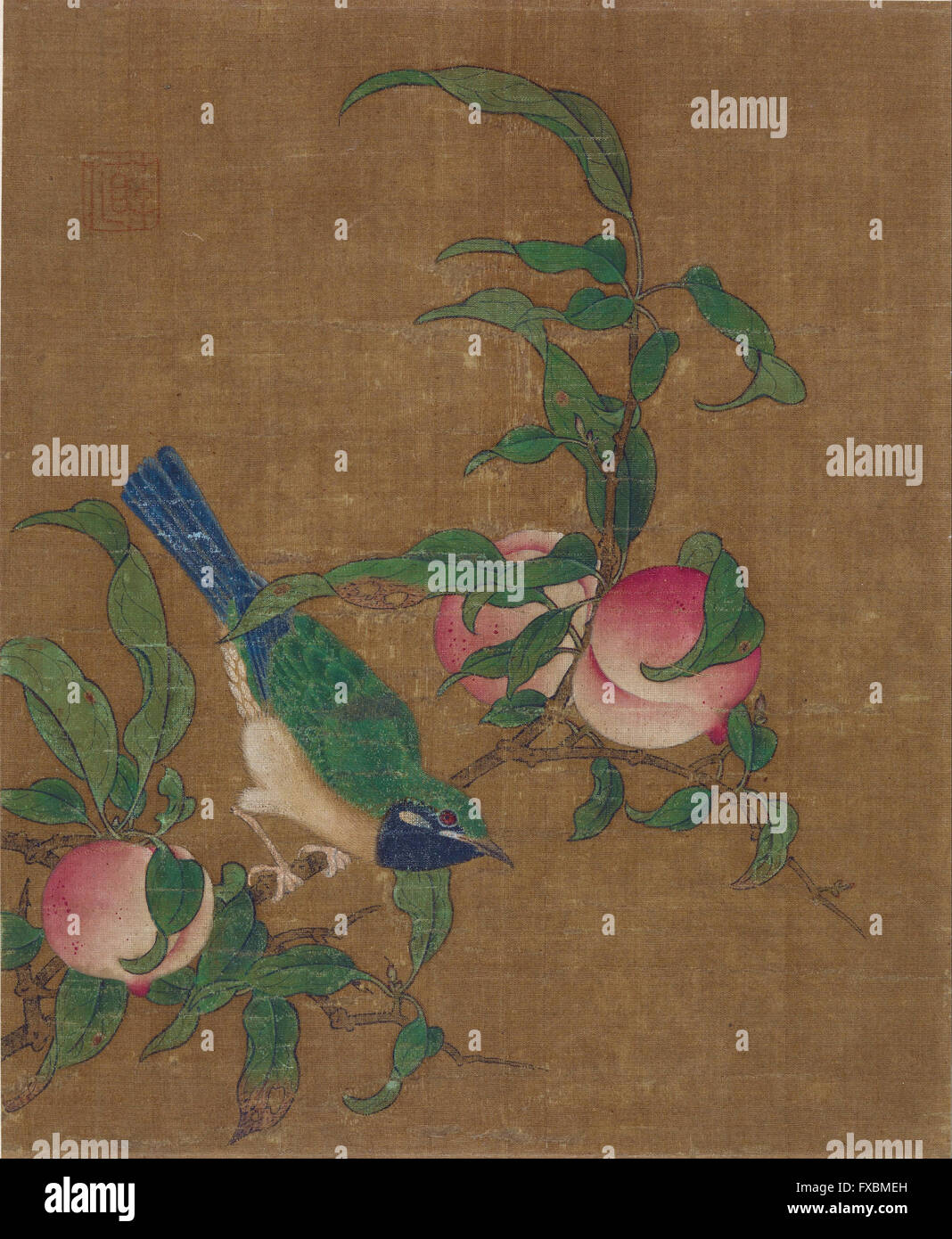 Vogel auf einem Apricot Branch - Freer Gallery of Art Stockfoto