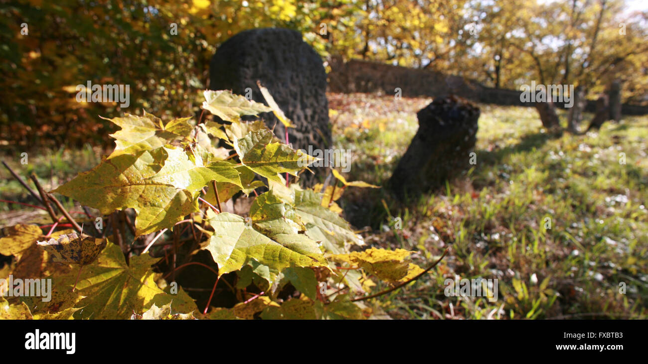 Alter jüdischer Friedhof Liten in Tschechien Stockfoto
