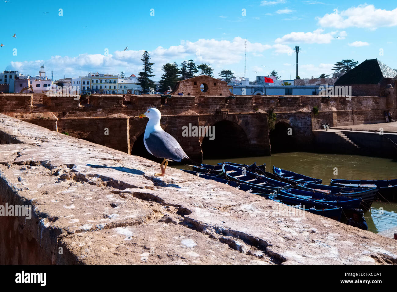 Essaouira, Marokko Stockfoto