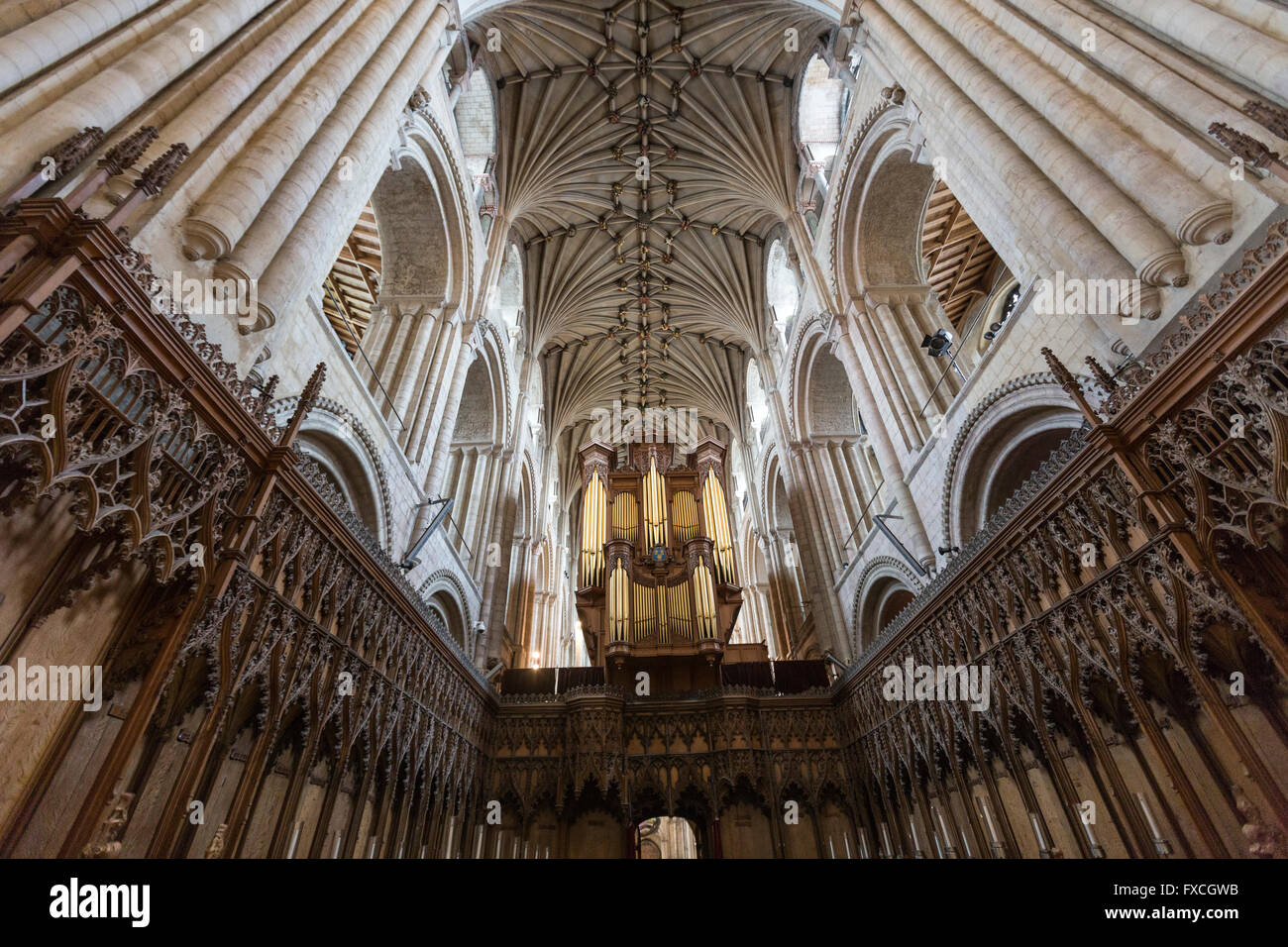 Norwich Cathedral Chor und Orgel, Norwich, Norfolk, England, UK Stockfoto