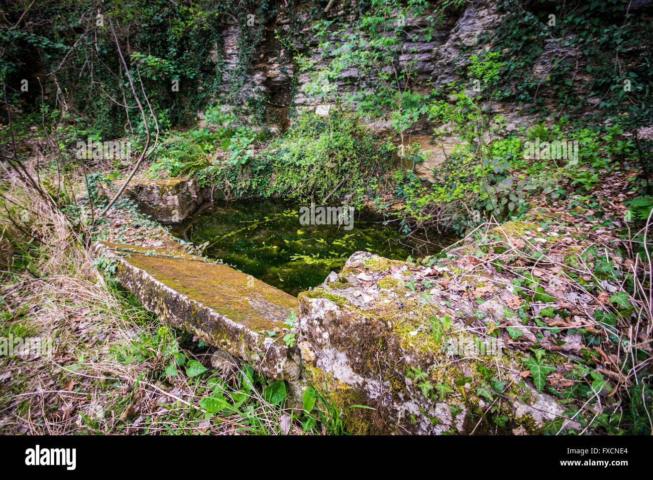 Alte verlassene Becken aus Stein, der verwendet wurde, um Regenwasser zu sammeln. Stockfoto
