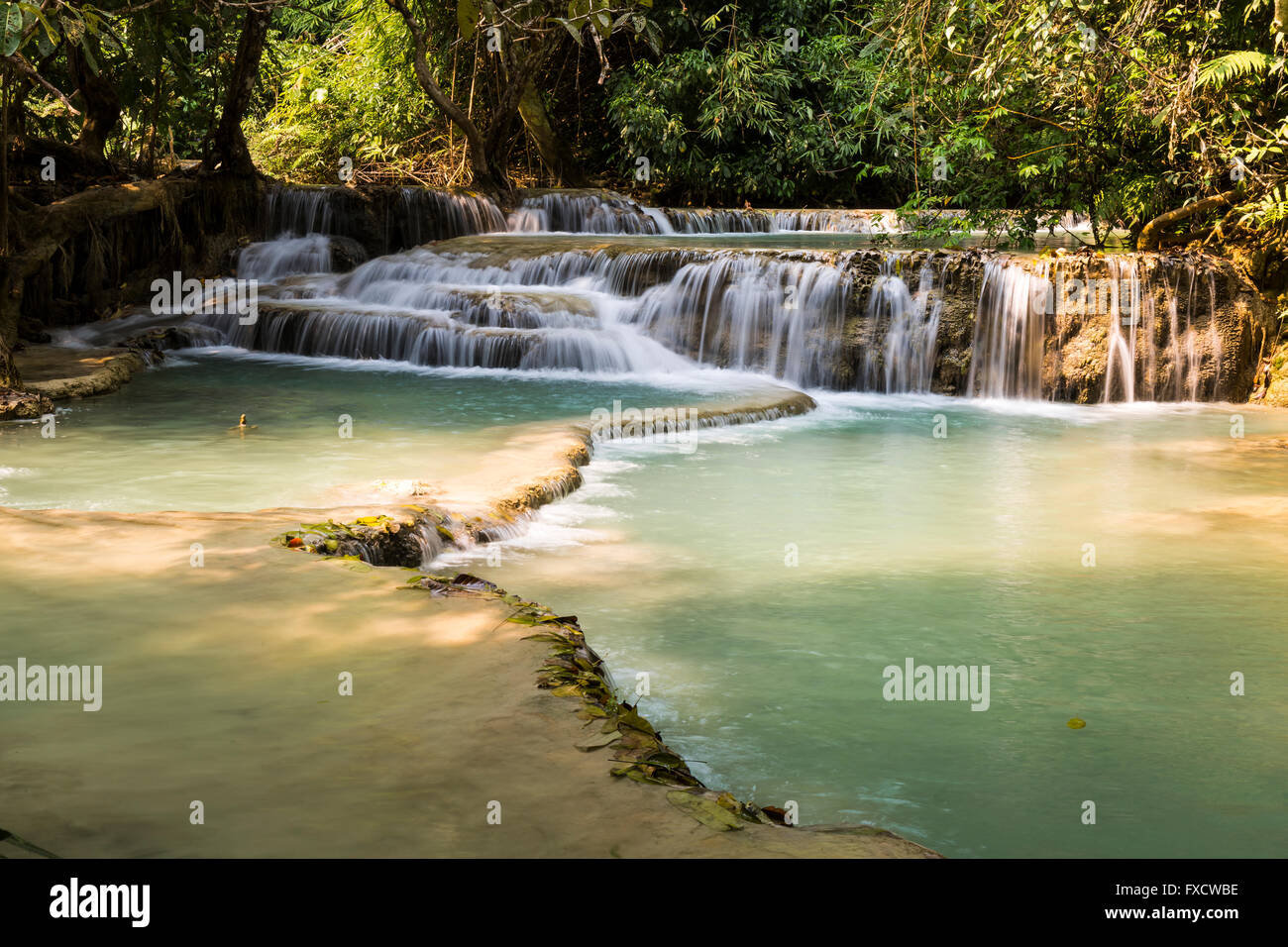 Die schöne Kuang Si Wasserfälle in Luang Prabang, Laos Stockfoto