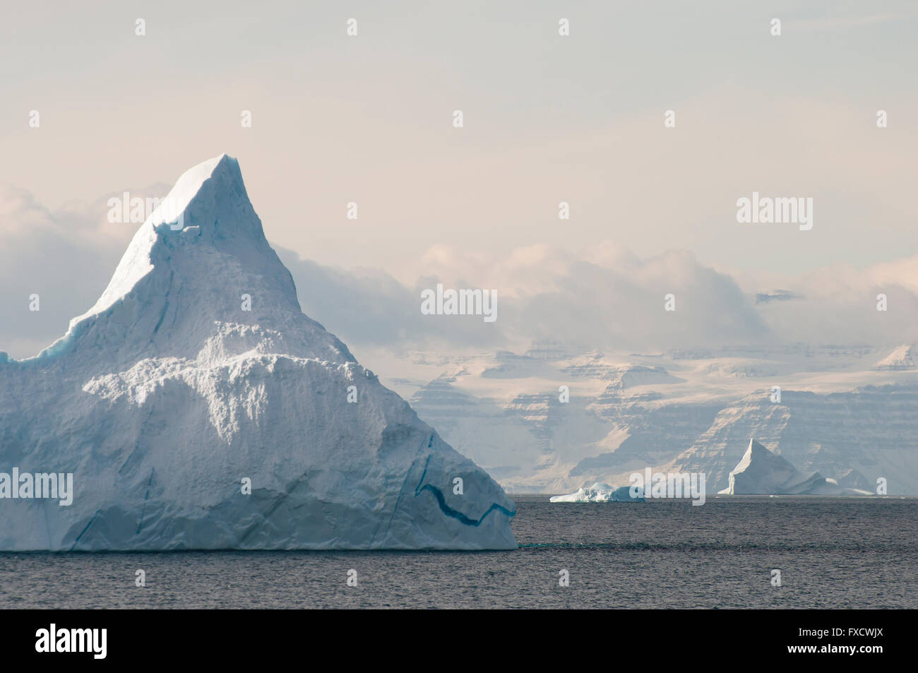 Eisberge - Scoresby Sound - Grönland Stockfoto