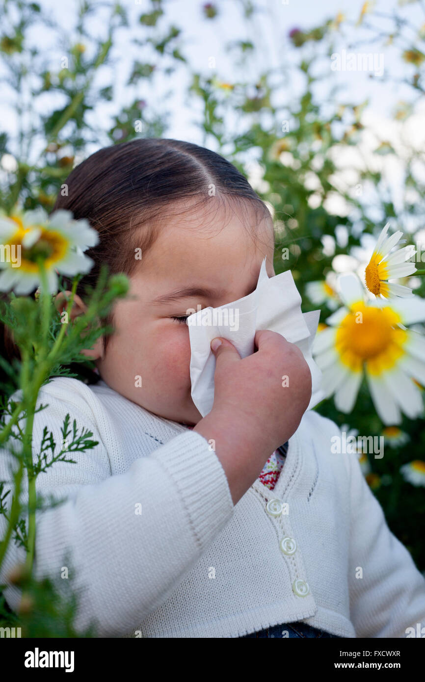 4 Hofeingang altes Kleinkind Mädchen Niesen in einer Daisy-Blumen-Wiese. Sie ist allergisch auf Blumen Stockfoto