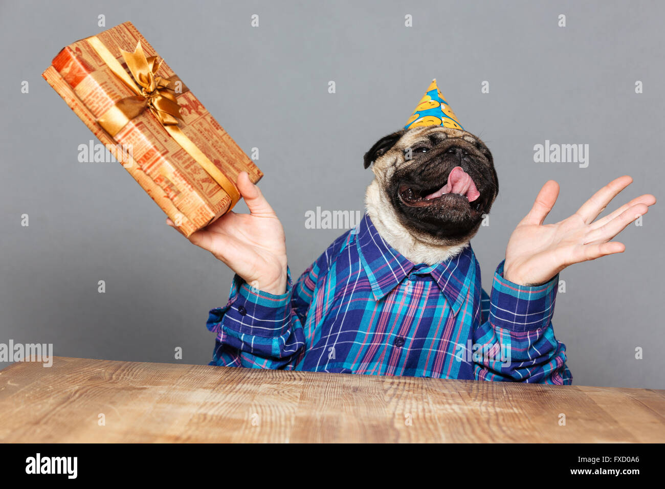 Geburtstag mops Fotos und Bildmaterial in hoher Auflösung Seite 2