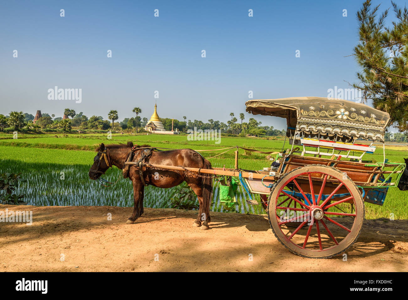 Pferdekutsche für eine antike Tempel-Tour in Myanmar Stockfoto
