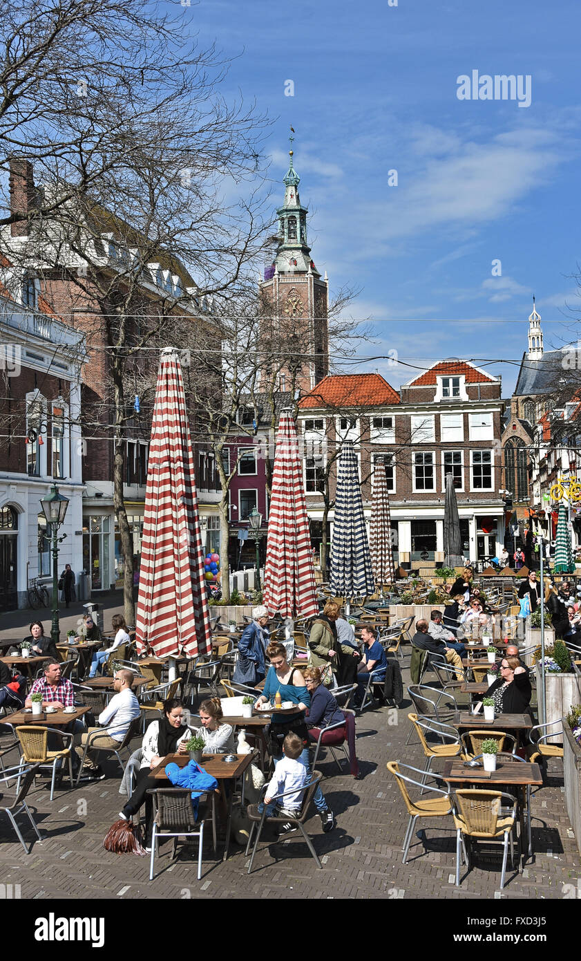 Den haag grote markt Fotos und Bildmaterial in hoher Auflösung Alamy Den haag grote markt Fotos und Bildmaterial in hoher Auflösung Alamy