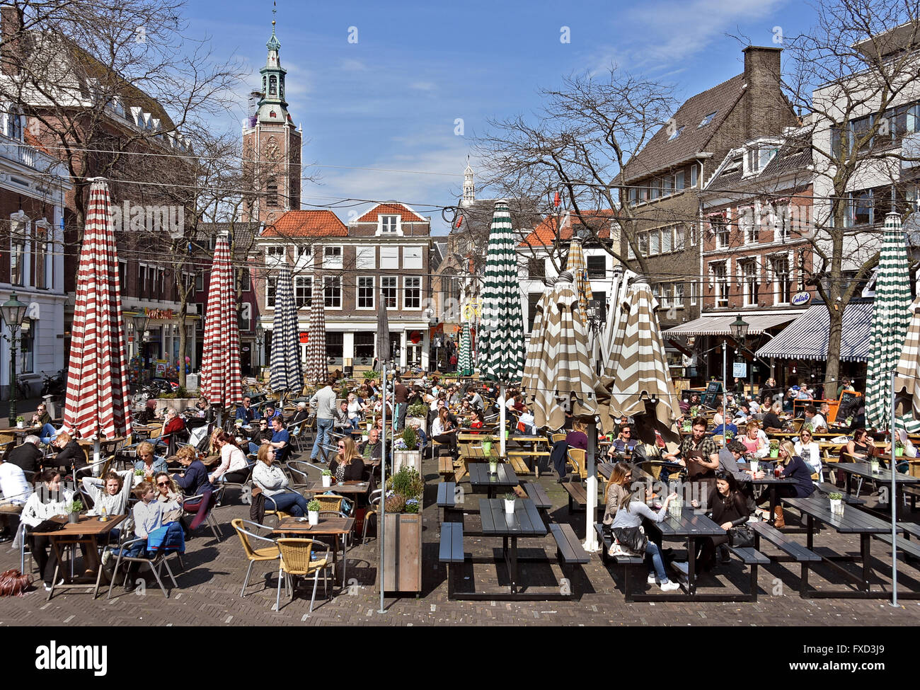 Grote Markt (Marktplatz) in den Haag (Café-Terrassen) Stockfoto