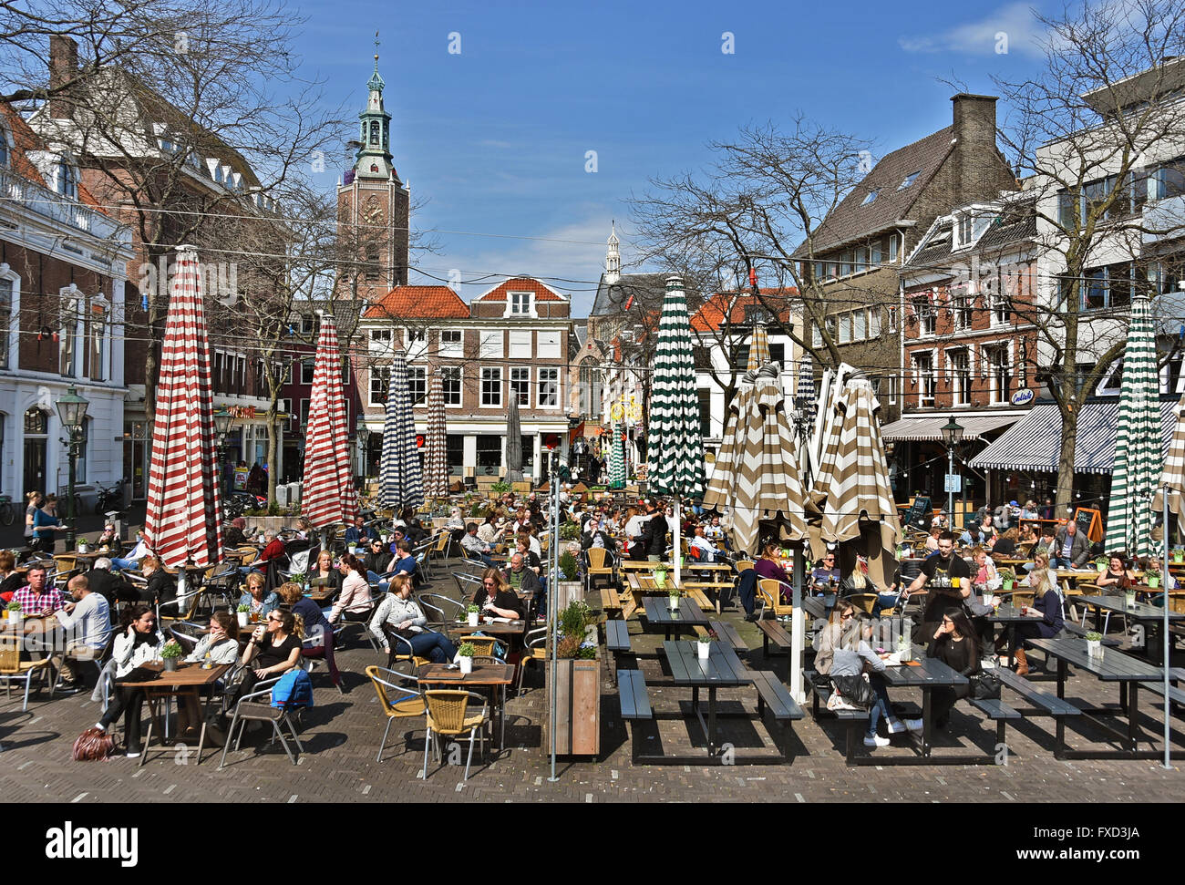 Grote Markt (Marktplatz) in den Haag (Café-Terrassen) Stockfoto