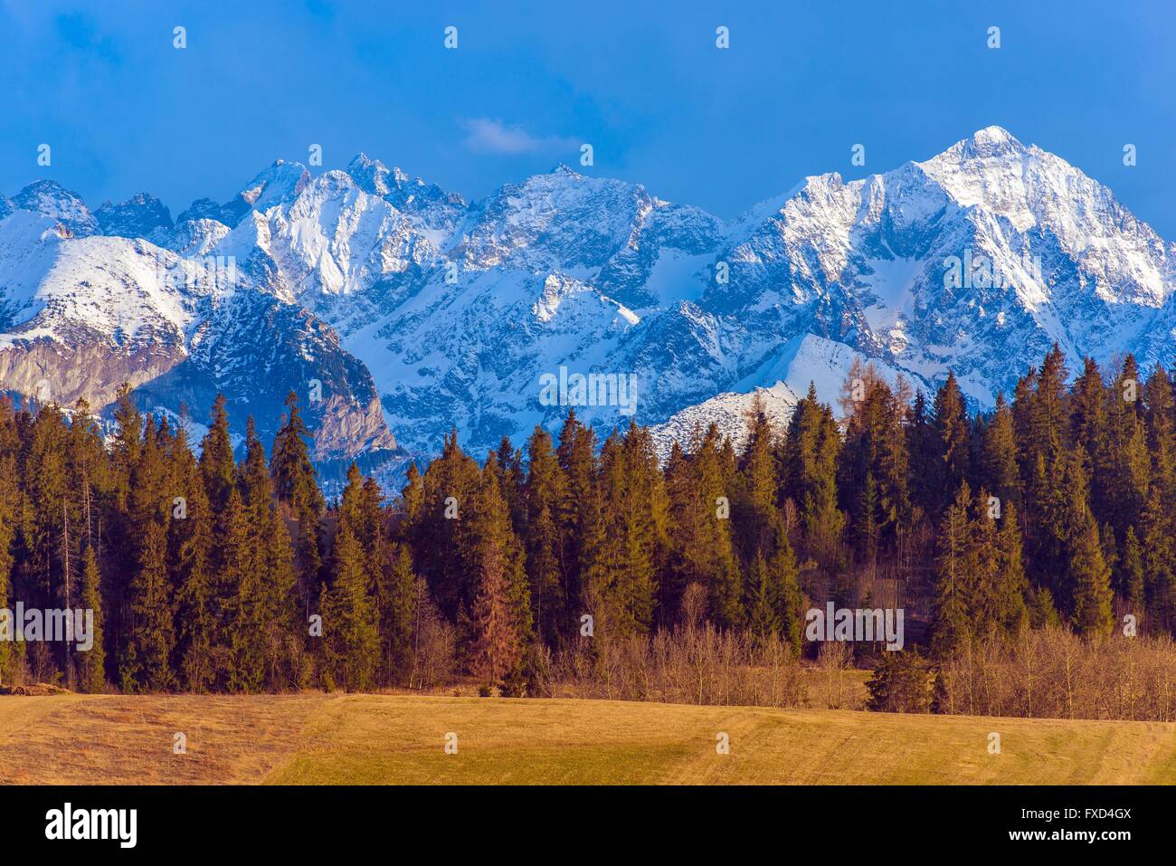 Polnischen Tatra Berge Landschaft. Gipfel mit Schnee bedeckt. Vorfrühling in der hohen Tatra. Kleinpolen, Europa. Stockfoto
