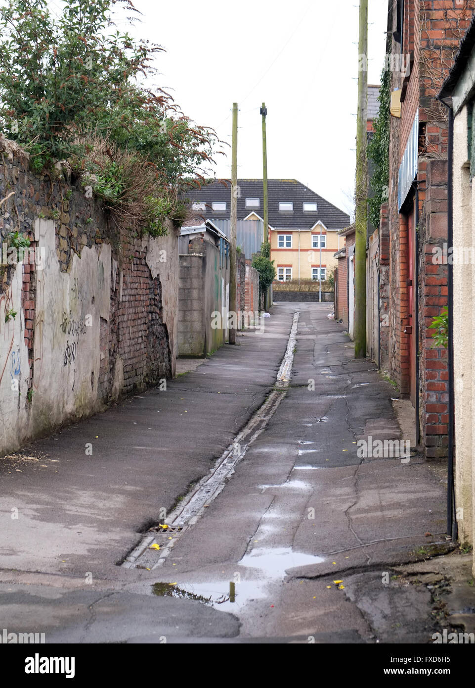 Sauber, aber sehr hintere Gasse hinter Läden und Häuser in der walisischen Stadt Cardiff Stockfoto