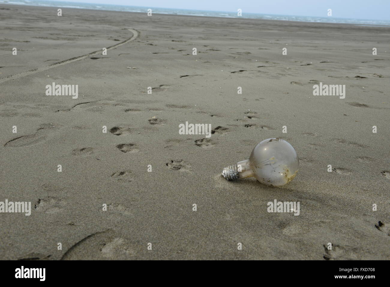 Strand von Glühbirne Stockfoto