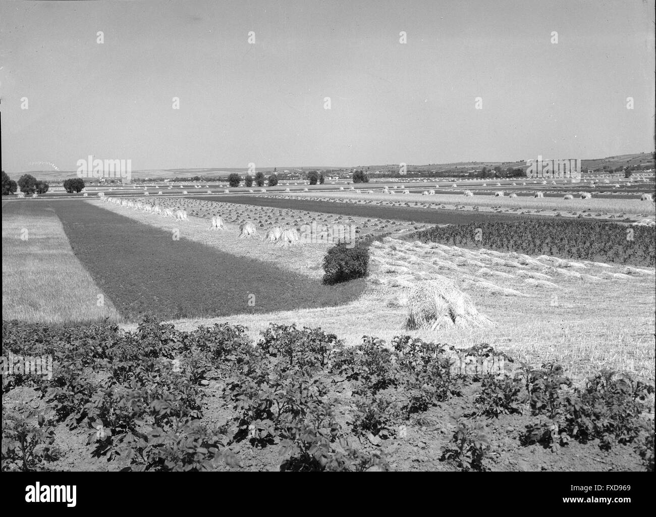 Deutsch wagram Fotos und Bildmaterial in hoher Auflösung Alamy