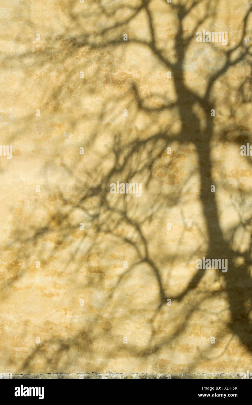 Schatten an der Wand, Brunnen. Somerset, England Stockfoto
