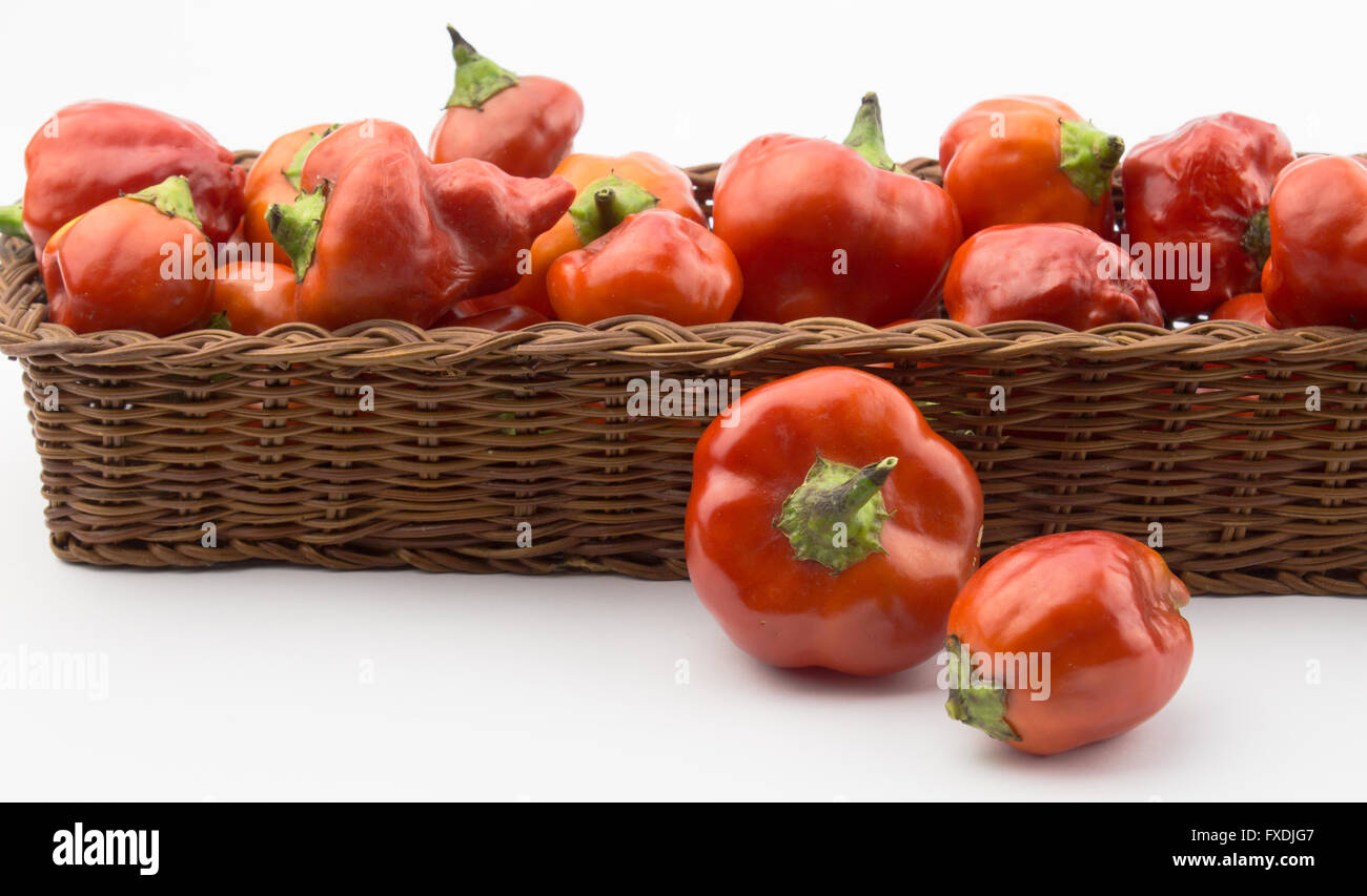 Foto von rote Chilis in Korb isoliert auf weißem Hintergrund Stockfoto