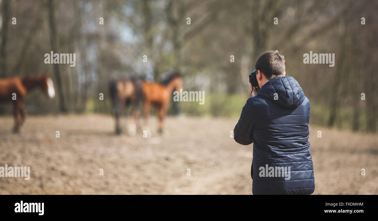 Der Mann nimmt Bilder der Pferde auf der Wiese, Frühling Stockfoto