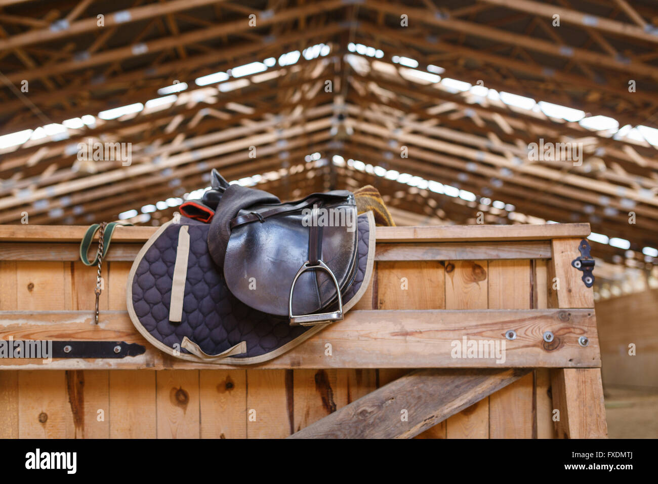 Eine Leder Sättel Pferd in einer Sportarena Stockfoto