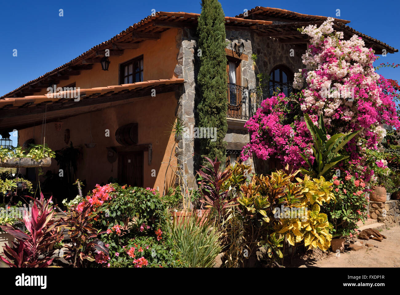 Hacienda mit Blumen in San Sebastian del Oeste Mexiko Tequila werkseitig Stockfoto
