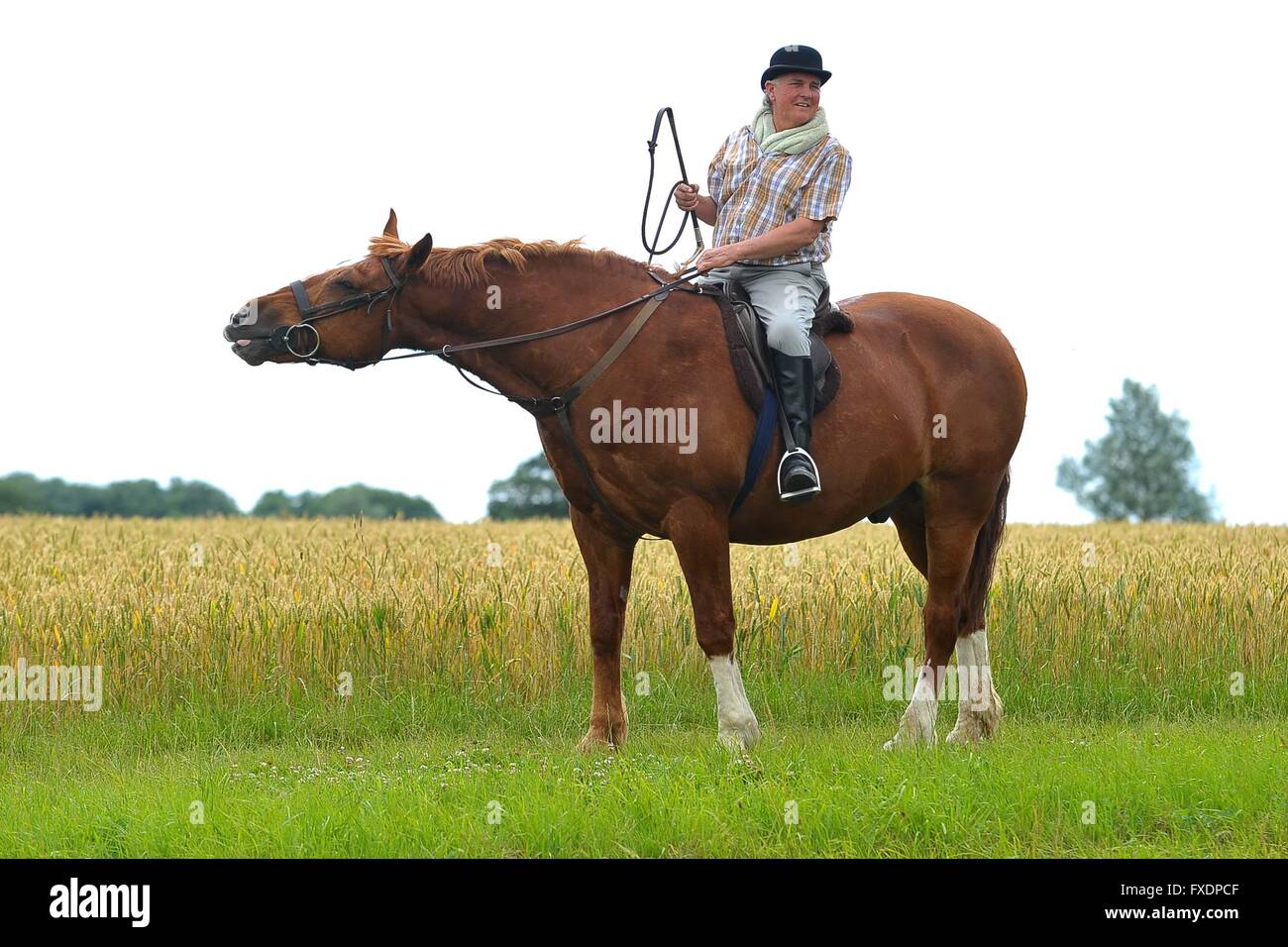 Peleton Mann auf Pferd auf Kante des Feldes folgende Tour 2014 de France uk Roxwell Stockfoto
