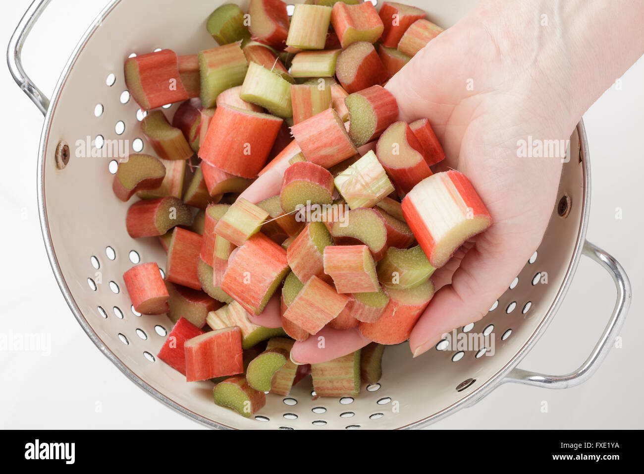 Rhabarber in einem Sieb mit einer Hand hält einige Stockfoto