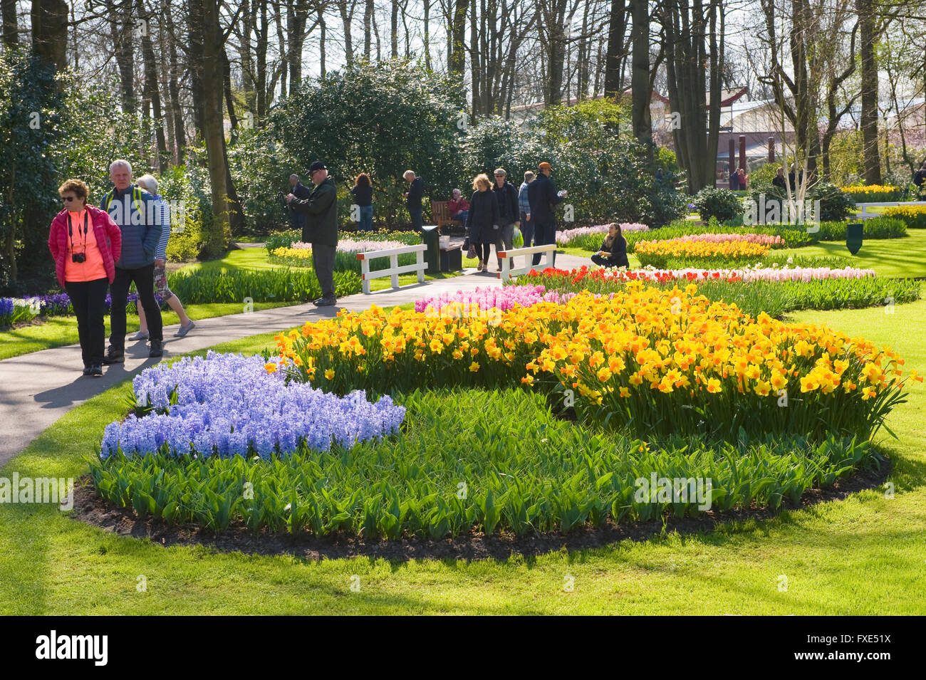 Im Frühjahr besuchen Touristen "Keukenhof". Der Keukenhof ist eine beliebte Blumengarten. Stockfoto