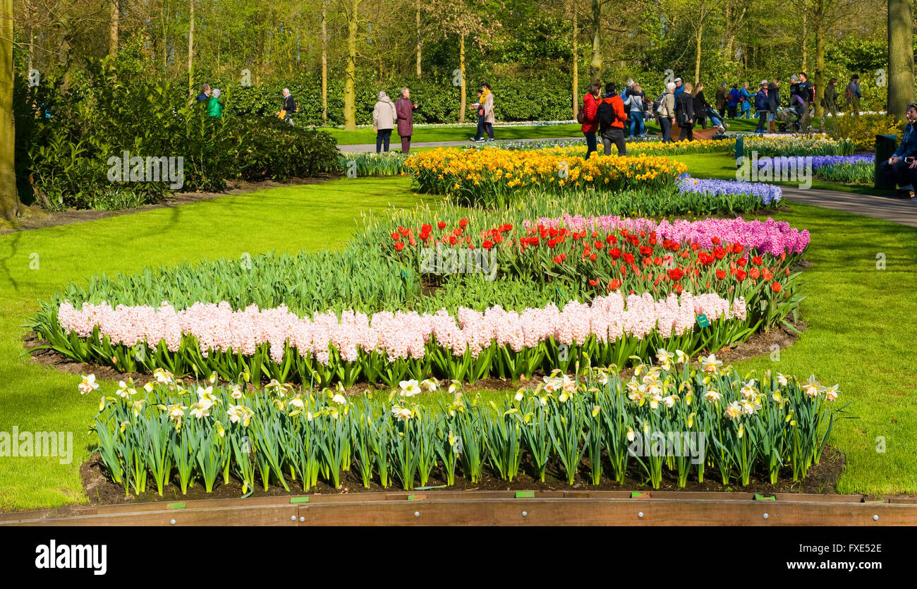 Im Frühjahr besuchen Touristen "Keukenhof". Der Keukenhof ist eine beliebte Blumengarten. Stockfoto
