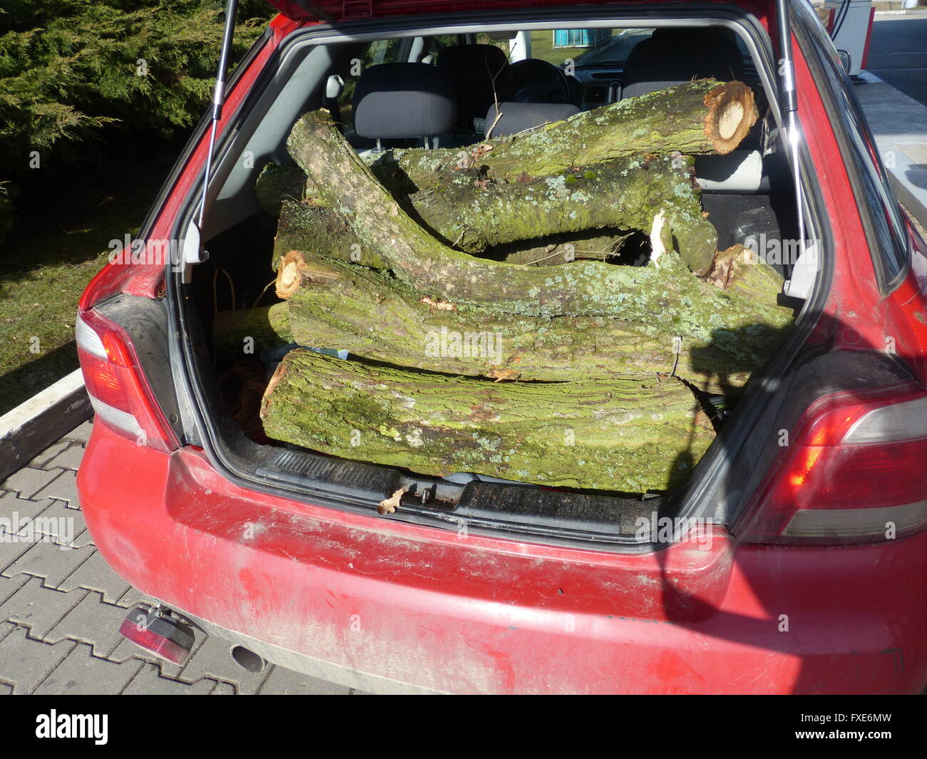 Kofferraum eines Autos gefüllt mit Brennholz Stockfoto