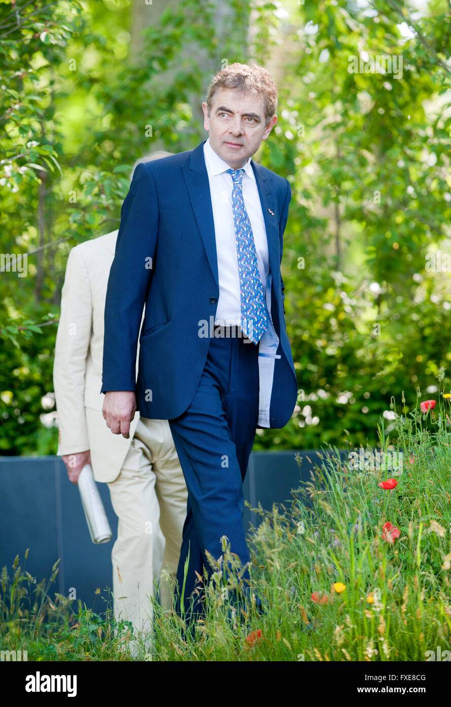 Rowan Atkinson VIP Vorschau Tag des The Chelsea Flower Show in The Royal Hospital Chelsea am 19. Mai 2014 in London, England Stockfoto