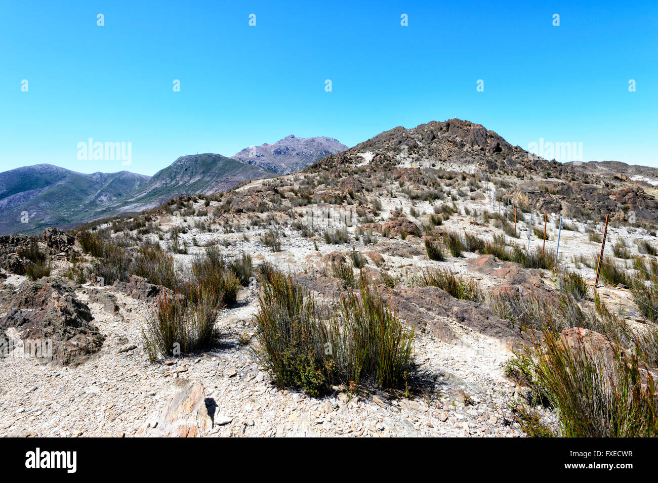 Trockene Landschaft gesehen von der Eisen-Schlag-Suche in der Nähe von Queenstown, Tasmanien, Australien Stockfoto