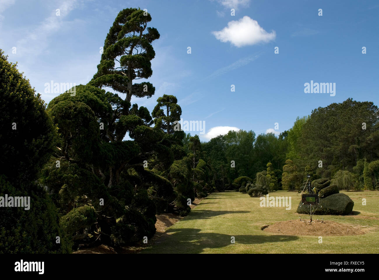 Pearl Mönchsorden Topiary Garten Bishopville Südcarolina USA Stockfoto