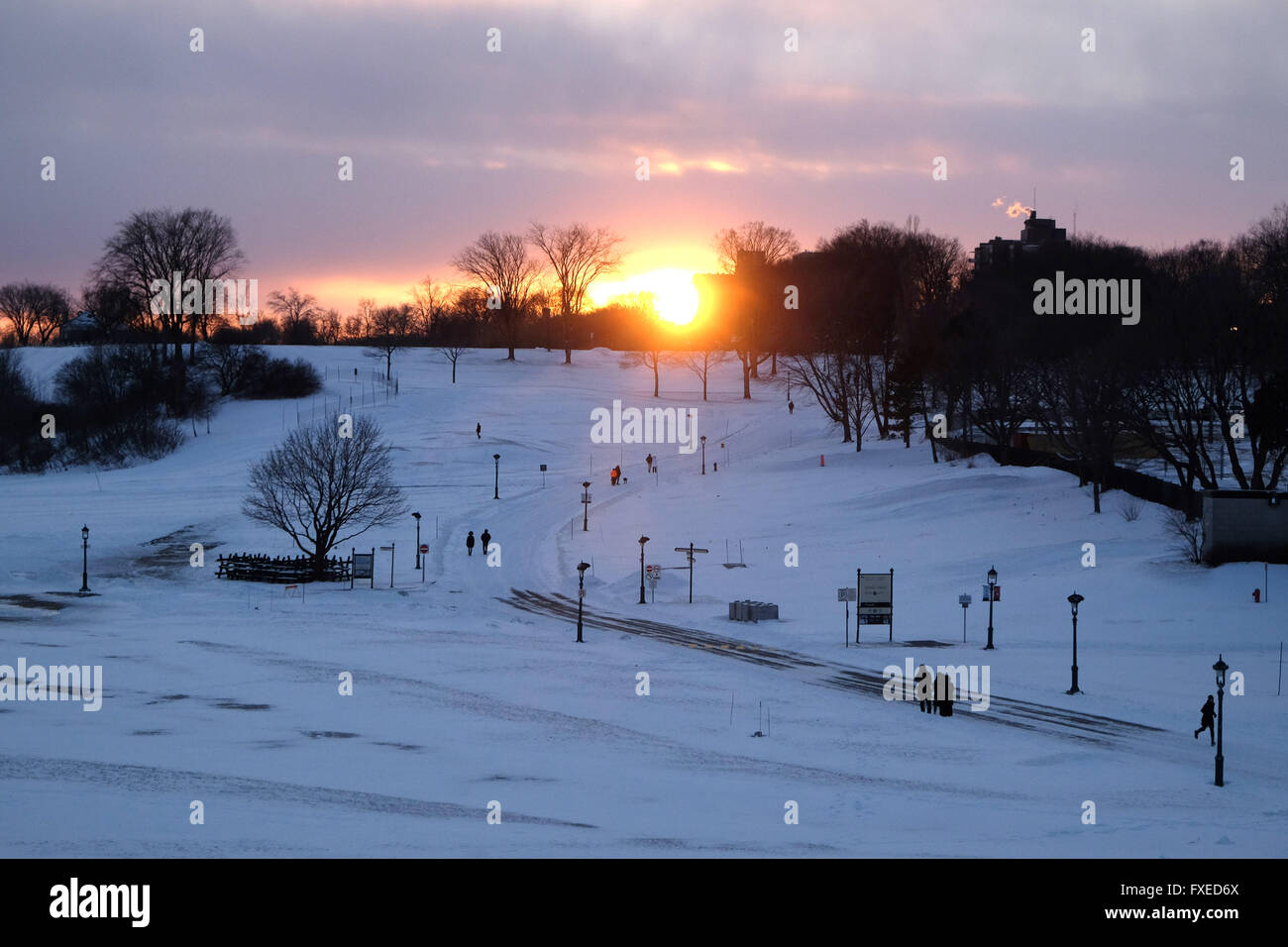 Die Sonne über einem verschneiten Park in Quebec Stadt, Quebec, Kanada. Stockfoto