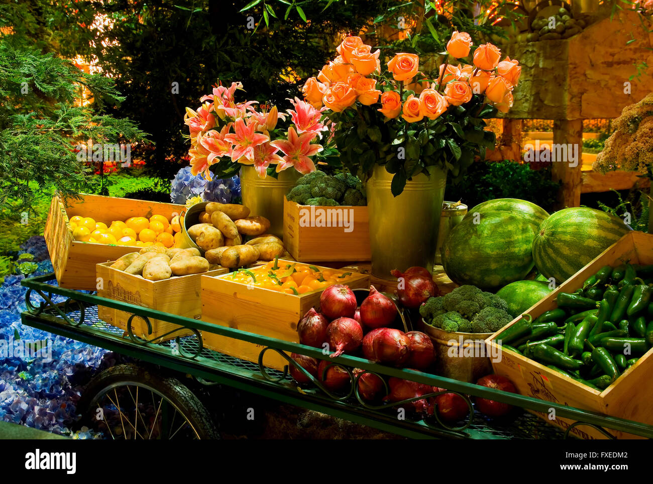 Obst und Gemüse auf dem Tisch Stockfoto