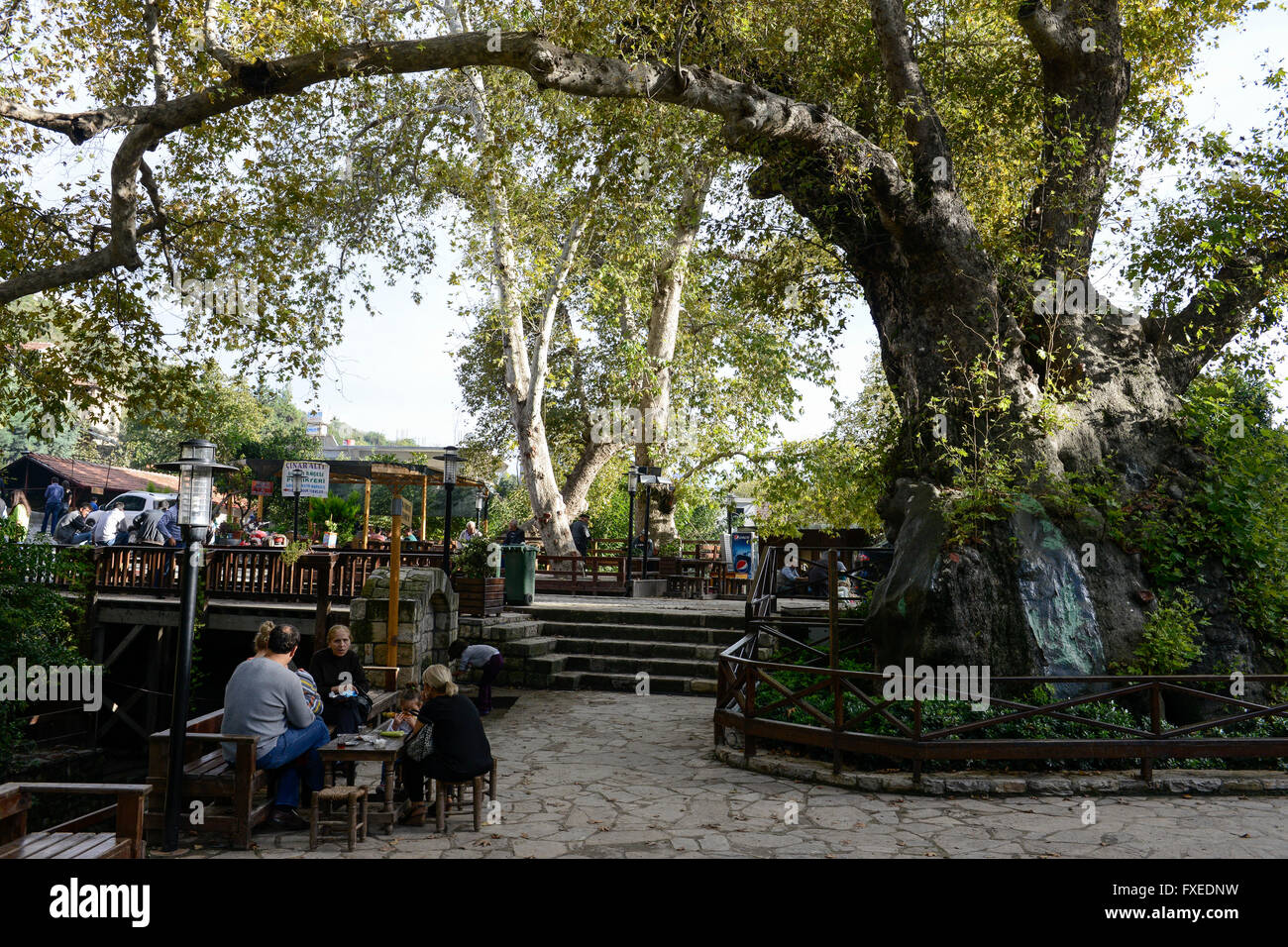 TÜRKEI Antakya, Musa Dagh, ehemaliges armenisches Dorf Hidirbey, Moses-Baum, etwa 4000 armenische Dorfbewohner aus sieben Dörfern flohen während des Völkermordes 1915 im Ersten Weltkrieg auf den 1355 Meter hohen Berg Musa Dagh und kämpften 40 Tage lang gegen die Deportation durch die Ottomanen, Viele Armenier starben in der Schlacht und in Hunger, aber am Ende wurden die Überlebenden von französischen Kampfschiffen evakuiert, viele wurden in Anjar im Libanon umgesiedelt, hat der österreichische Autor Franz Werfel 1933 den Roman "die vierzig Tage von Musa Dagh" über diesen historischen Vorfall und den Völkermord veröffentlicht Stockfoto