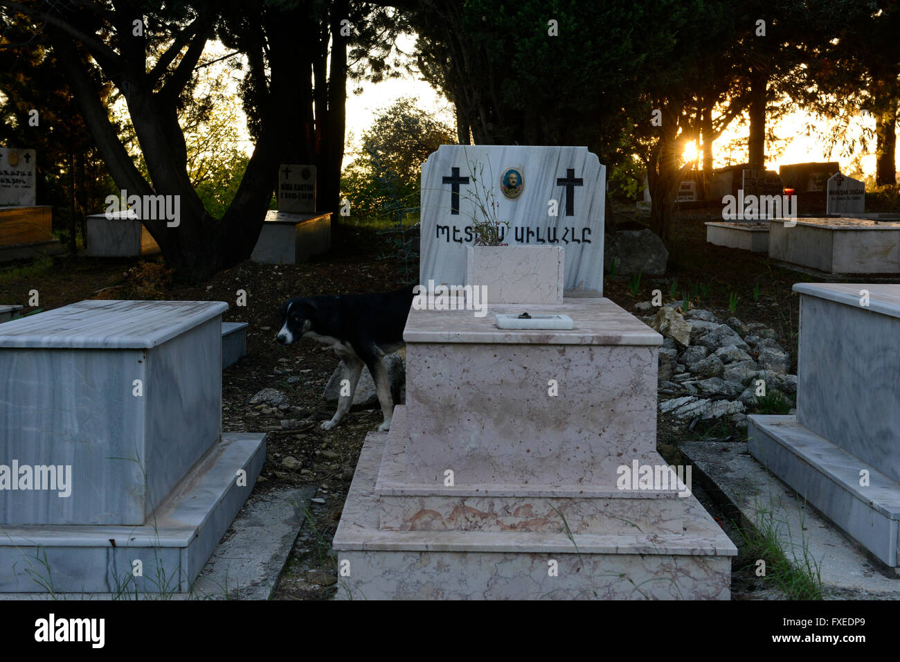 TÜRKEI Antakya, Musa Dagh, armenisches Dorf Vakifli, armenischer Friedhof, etwa 4000 armenische Dorfbewohner aus sieben Dörfern flohen während des Völkermordes 1915 im Ersten Weltkrieg auf dem 1355 Meter hohen Berg Musa Dagh und kämpften 40 Tage lang gegen die Deportation durch die Ottomanen, Viele Armenier starben in der Schlacht und in Hunger, aber am Ende wurden die Überlebenden von französischen Kampfschiffen evakuiert, viele wurden in Anjar im Libanon umgesiedelt, hat der österreichische Autor Franz Werfel 1933 den Roman "die vierzig Tage von Musa Dagh" über diesen historischen Vorfall und den Völkermord veröffentlicht Stockfoto