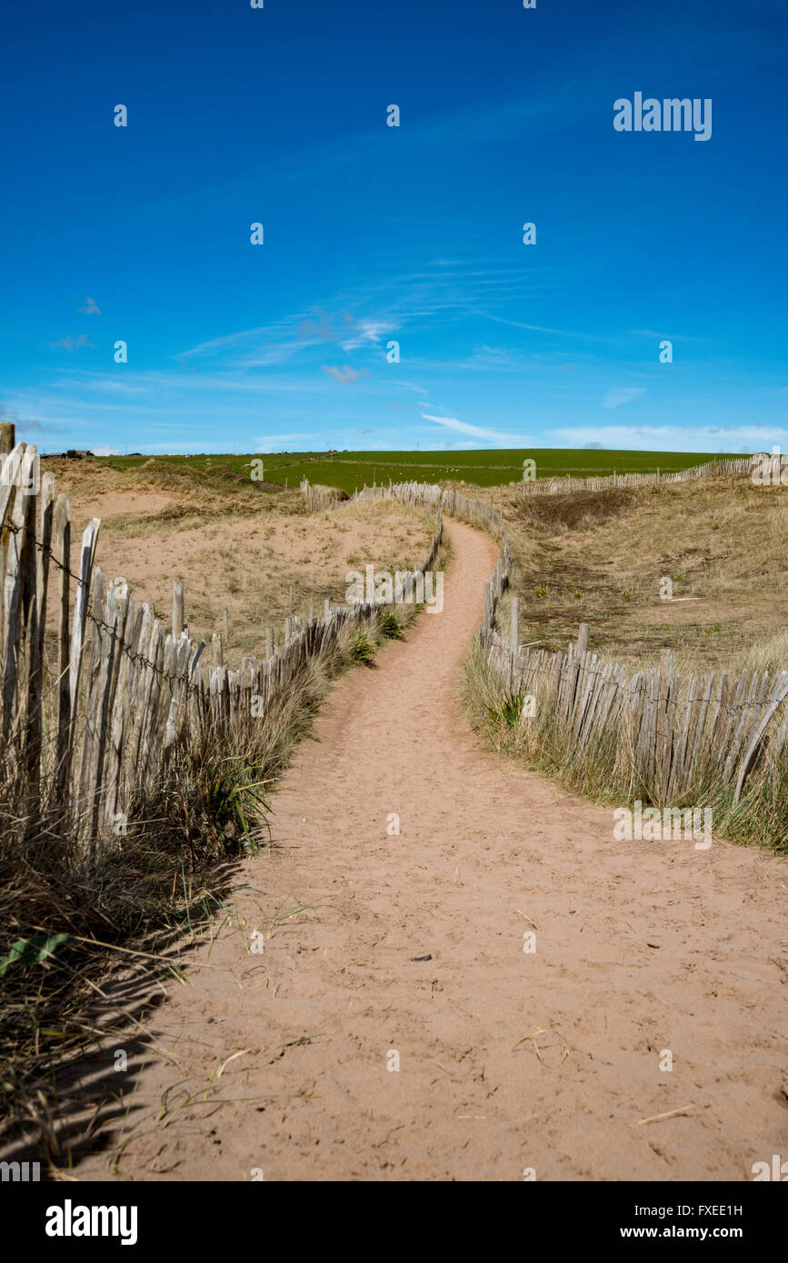 Fußweg durch die Sanddünen in Größe South Devon. Stockfoto