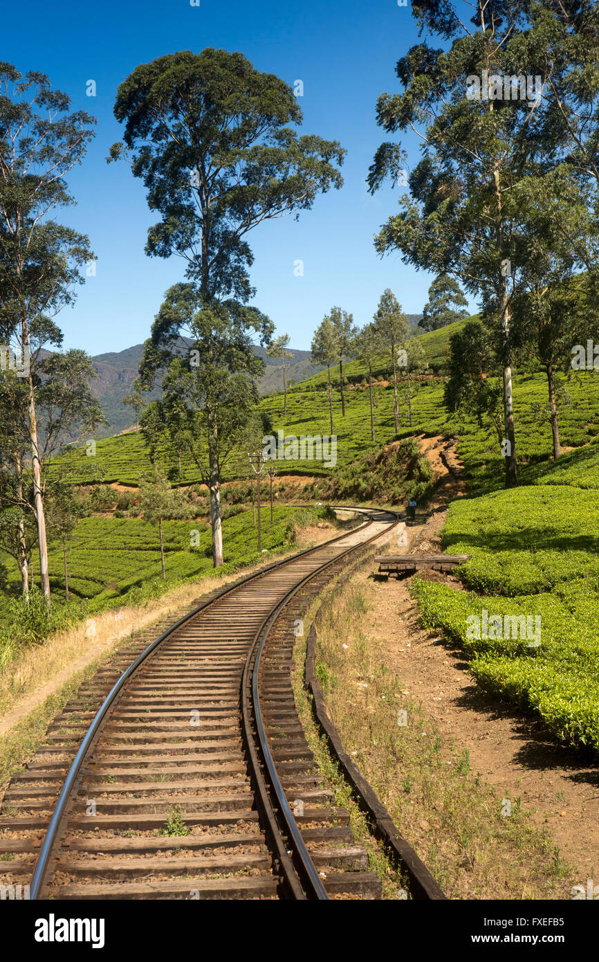 Sri Lanka Reisen, Highland Railway Zug durch Teeplantage Stockfoto