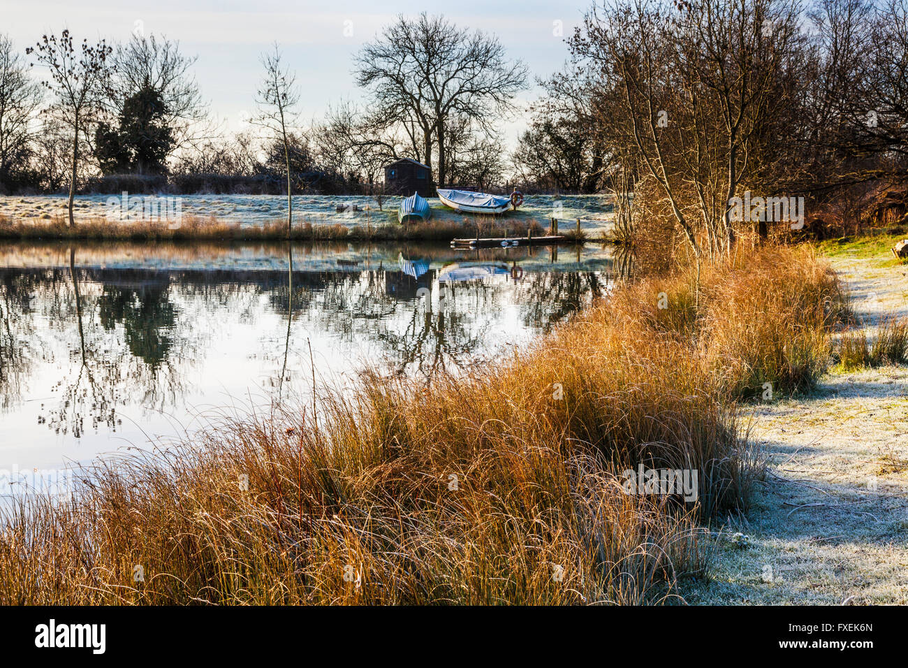 Einem frostigen Wintermorgen auf einem der Seen im Cotswold Water Park Stockfoto