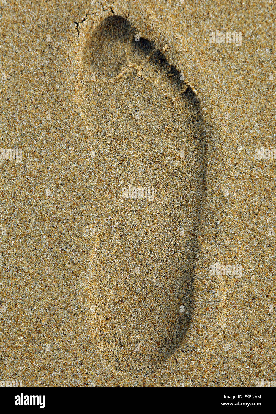 Es ist eine Draufsicht-Foto von einem Fußdruck auf dem Sand am Strand von einem sonnigen Tag. Es ist der Rechte Fuß in eine perfekte Form. Stockfoto