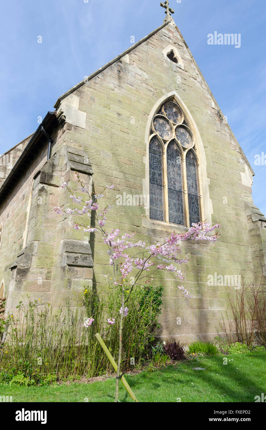 Spring Blossom an einem Baum außerhalb All Saints Church in Kings Heath, Birmingham Stockfoto