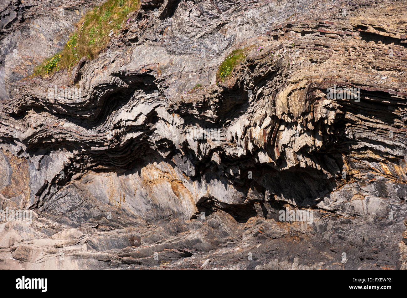 Dramatische Gesteinsschichten auf der Klippe in der Nähe von Solva in Pembrokeshire, Wales. Stockfoto