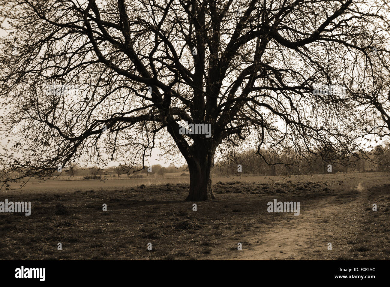 Nikon d3300 18mm Stockfoto