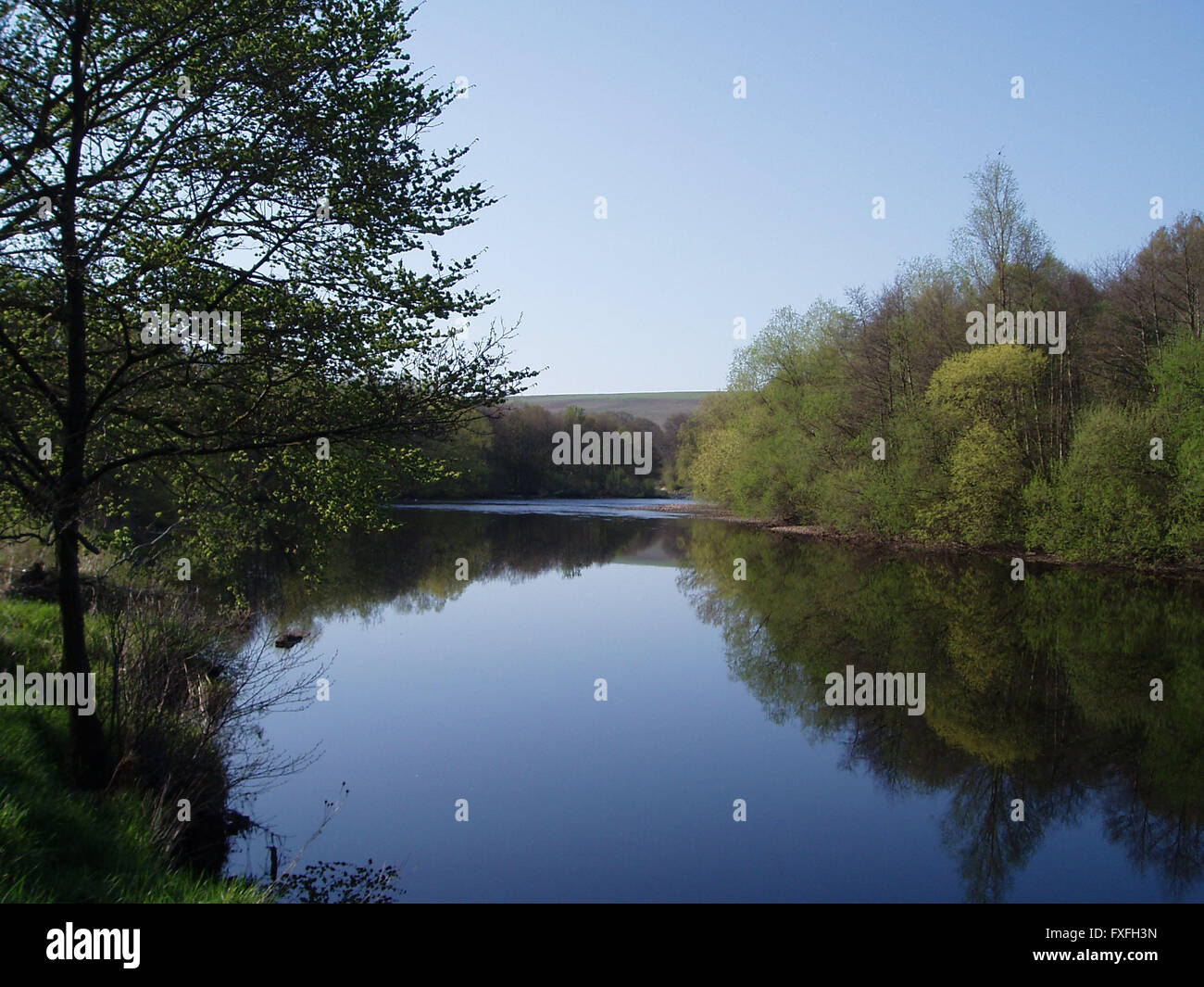 Die River North Tyne in Bellingham Stockfoto
