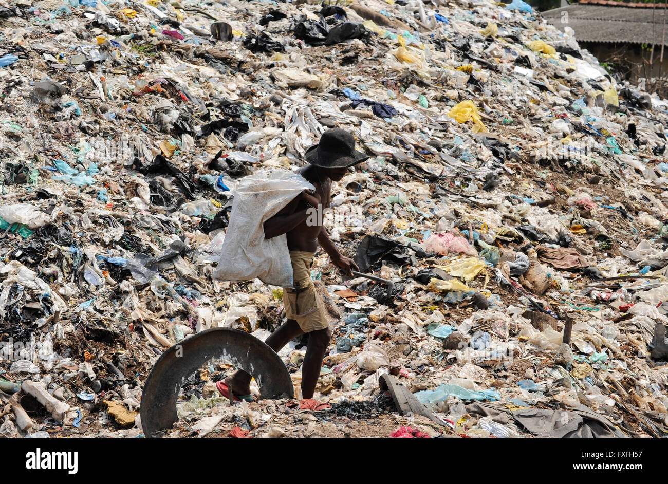 Sri Lanka Colombo, Müll-Berg an der Bloemendhal Road, rag Picker / Muellberg Bei der Bloemendhal Road, Muellsammler Stockfoto