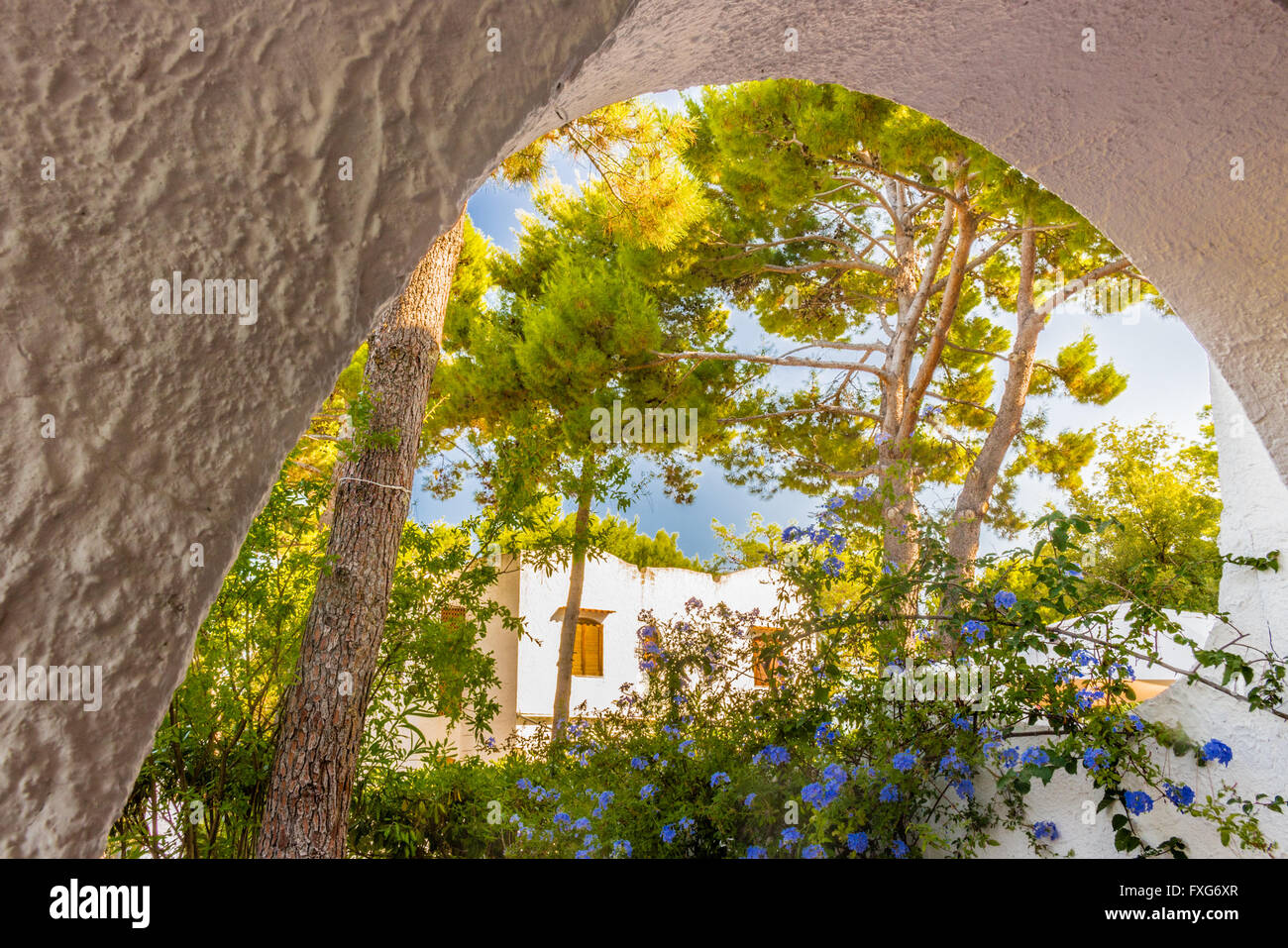 Einblicke in die weißen Häusern aus Stein mit Garten typisch für Süditalien Stockfoto