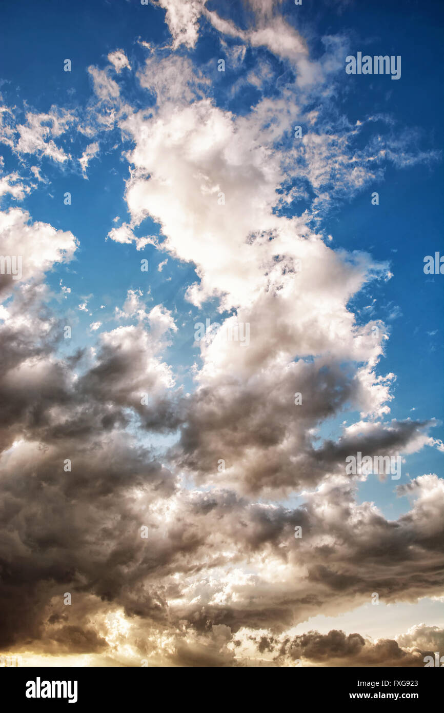 Dramatische Gewitterhimmel. Natürliche Szene. Dunklen und hellen Tönen. Vertikale Zusammensetzung. Stockfoto