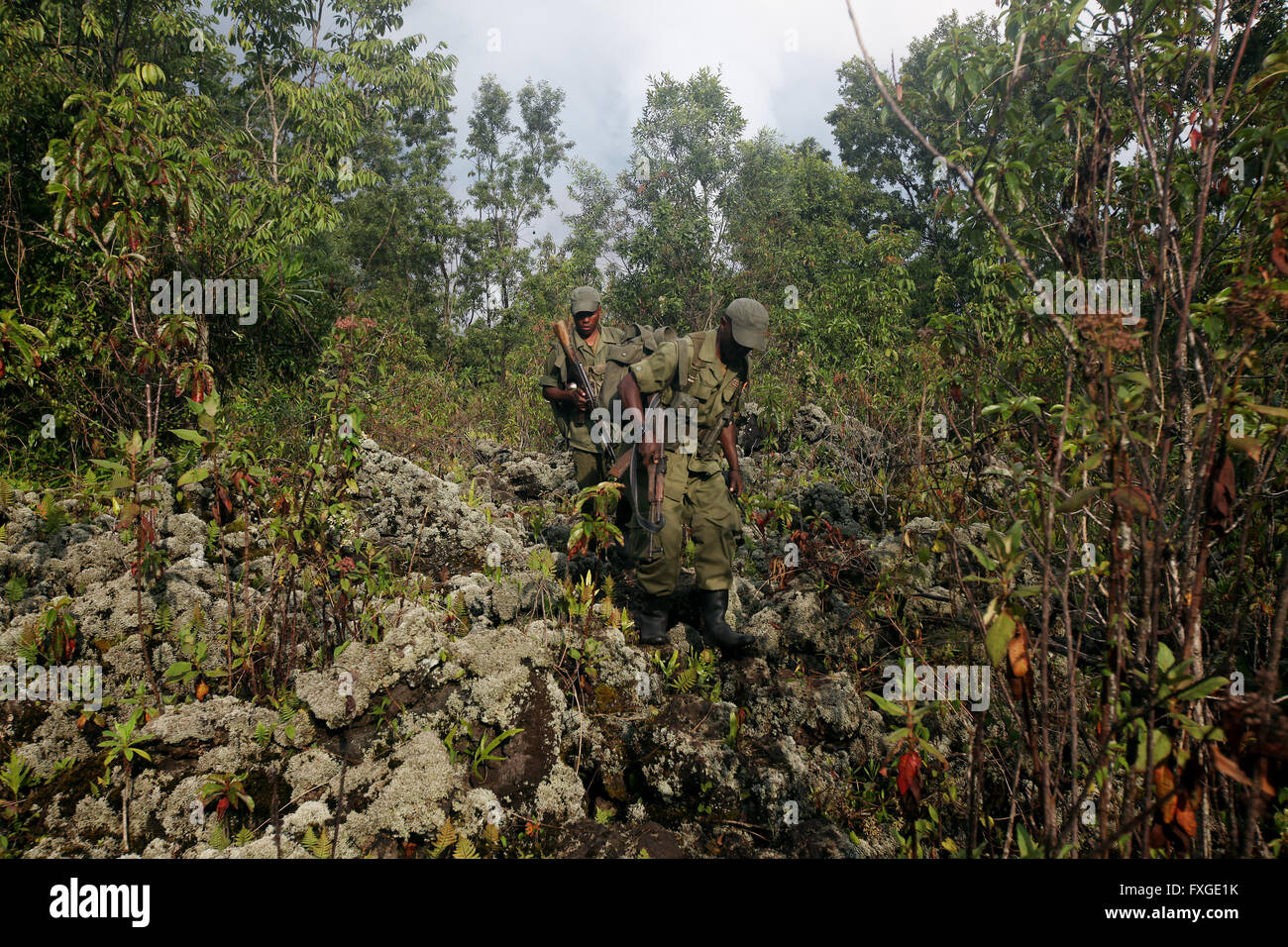 Ranger der Virunga-Nationalpark in der Demokratischen Republik Kongo führen eine Tour zu den neu ausbrechenden Vulkan Nyamulagira. Stockfoto