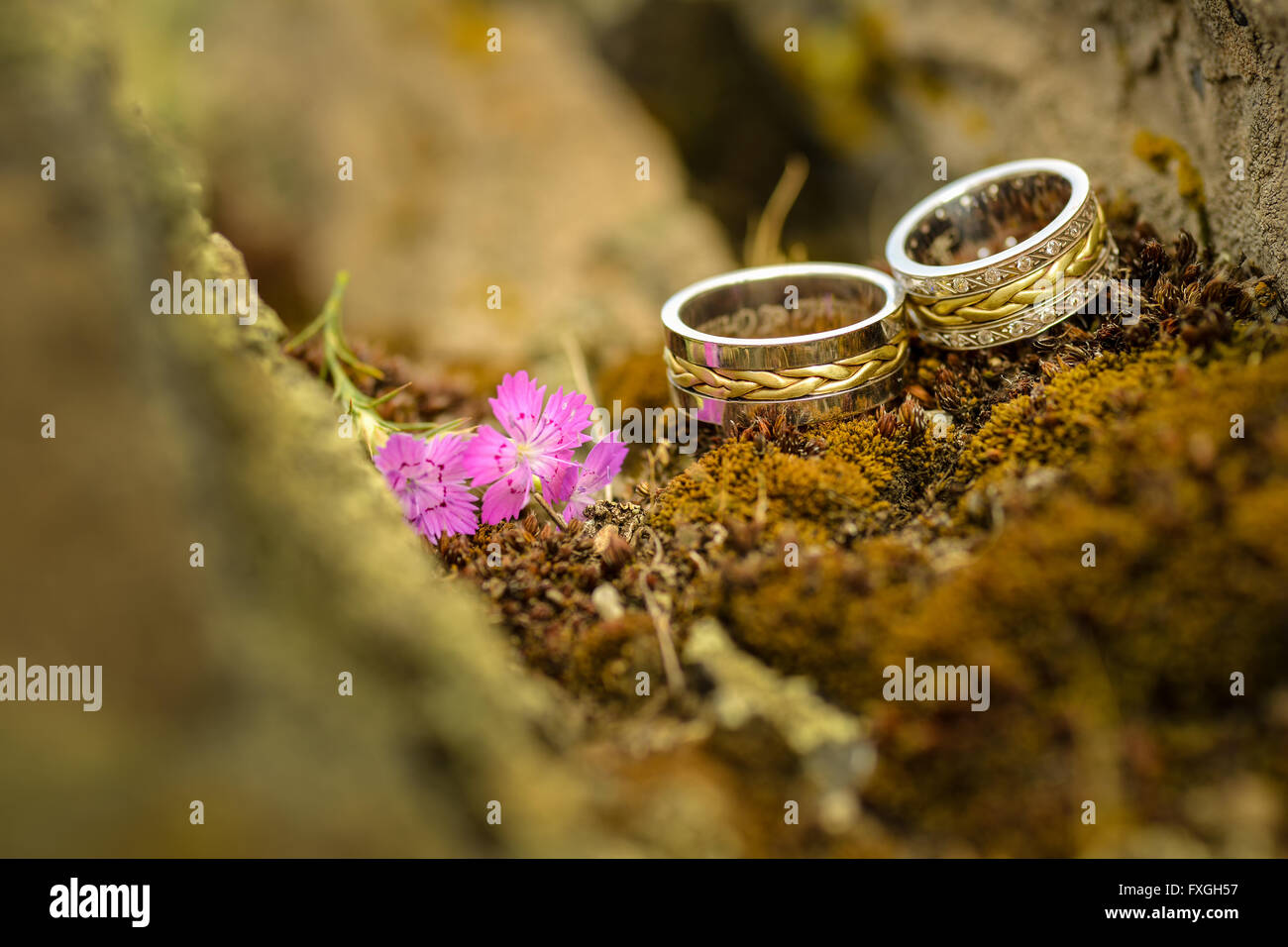 Zwei Trauringe mit lila Blüten zwischen Felsen Stockfoto